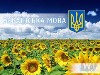 Department congratulates colleagues and students on the Day of Ukrainian Writing and Language!